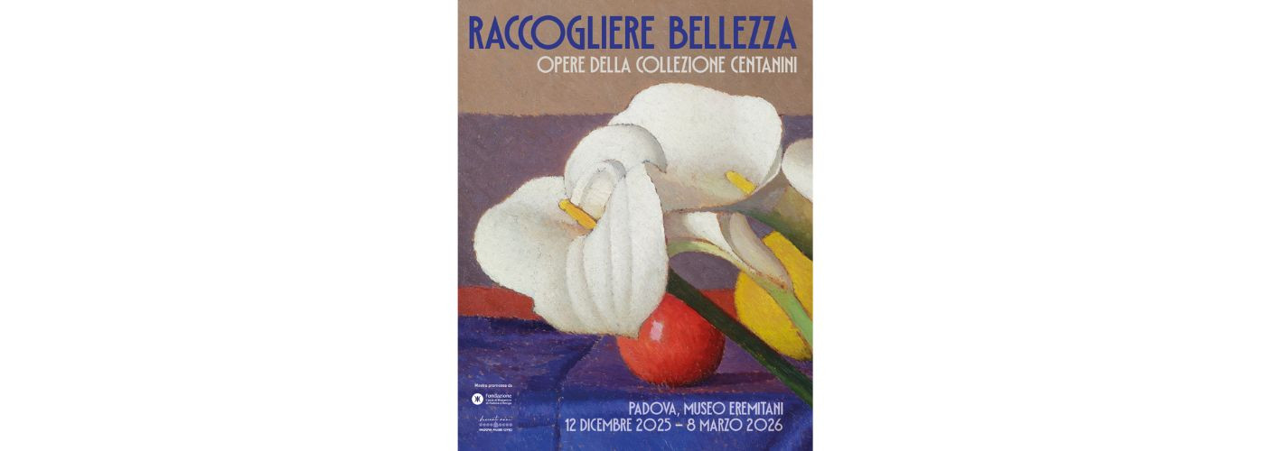 Raccogliere bellezza