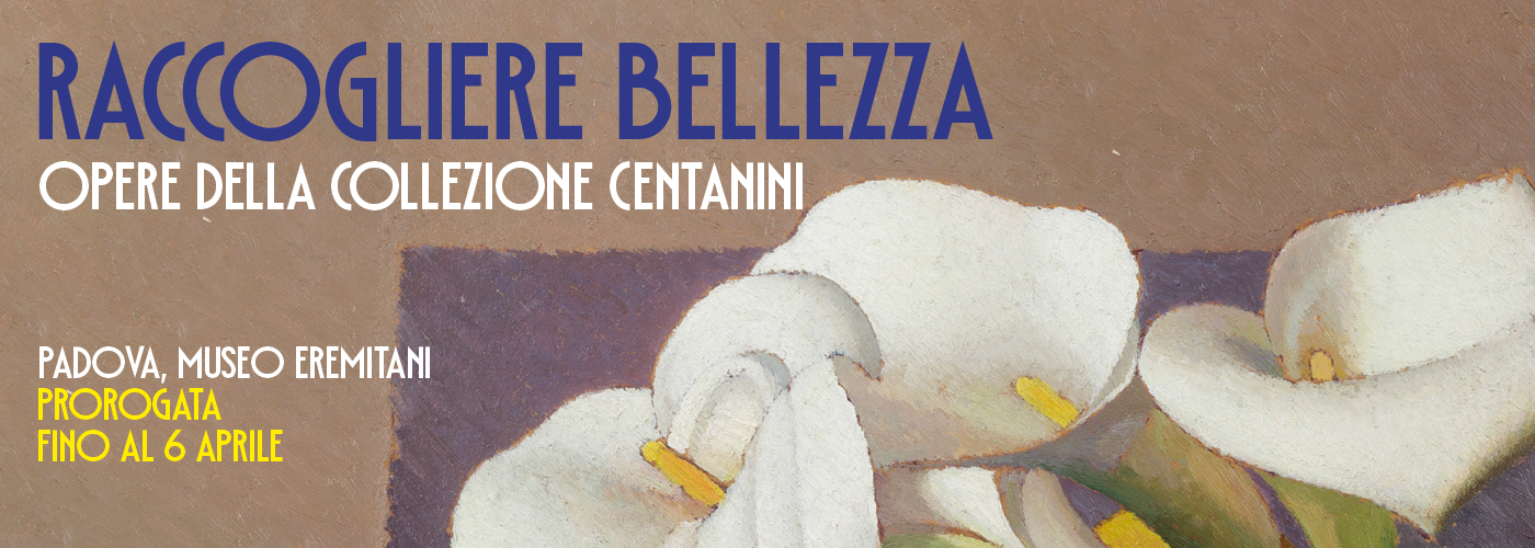 Raccogliere bellezza