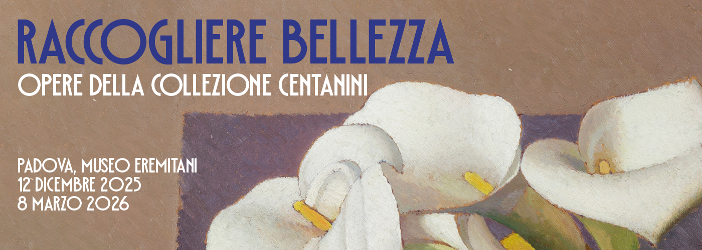 Raccogliere bellezza