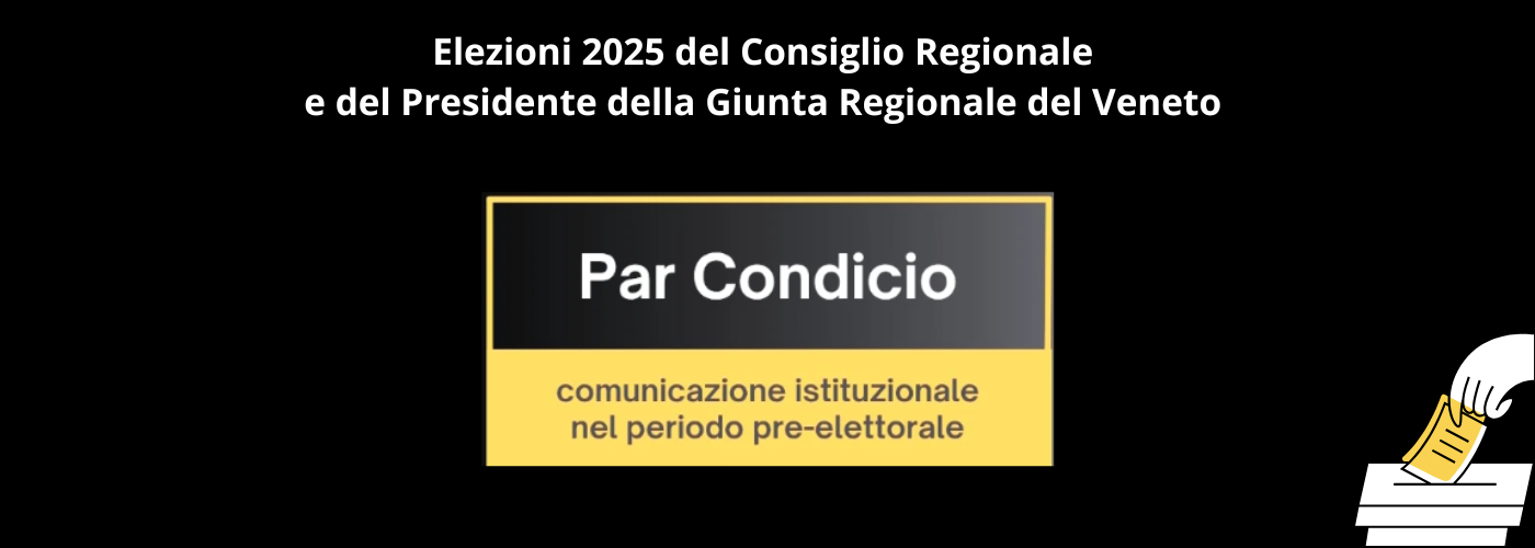 Comunicazione istituzionale nel periodo pre-elettorale